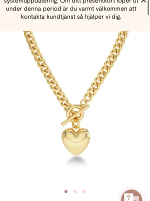 Edblad halsband  - Snyggt halsband från Edblad, använd 5 gånger 