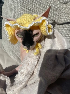 Virkad hatt till katt - En supersöt virkad hatt till katter med snörning och hål för öronen🐈 Sista bilden visar hatten på en riktig katt och han älskar att bära den! 🎩 