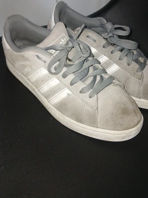 Grå Adidas Campus sneakers i mocka - Gråa Adidas Campus sneakers i mocka med klassiska vita ränder på sidorna och grå snörning. Skorna har låg profil och en vit sula. Perfekta för en stilren och avslappnad look.