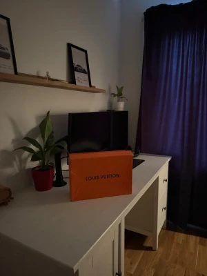 LV trainers kommer med box och tyg påsar till skorna  - LV trainers som kommer med box och tyg påsar till skorna. Boxen är är inte i det bästa skicket vet ej hur den blev så då jag köpte skorna från plick. Det börjar bli slitage på undersidan av skorna.