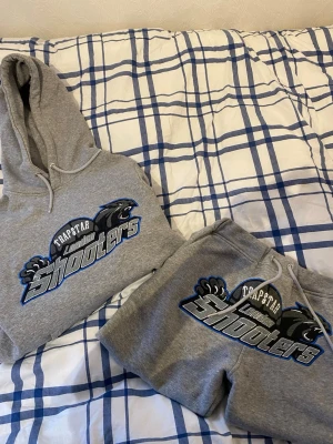 Grå Trapstar Tracksuit - Säljer ett grått tracksuit set från Trapstar med hoodie och mjukisbyxor. Använd en gång är helt som ny utan några som helst slitningar eller brister skick 10/10. Storlek S, hör gärna av er vid frågor osv💫