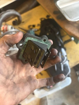 Stage 6 membran - Stage 6 membran Säljer en svart och grön reedventil i metall, perfekt för dig som mekar med mopeder eller små motorer. Ventilen har fyra monteringshål och flera runda öppningar på ventilbladen. Passar till tvåtaktsmotorer och är enkel att installera.