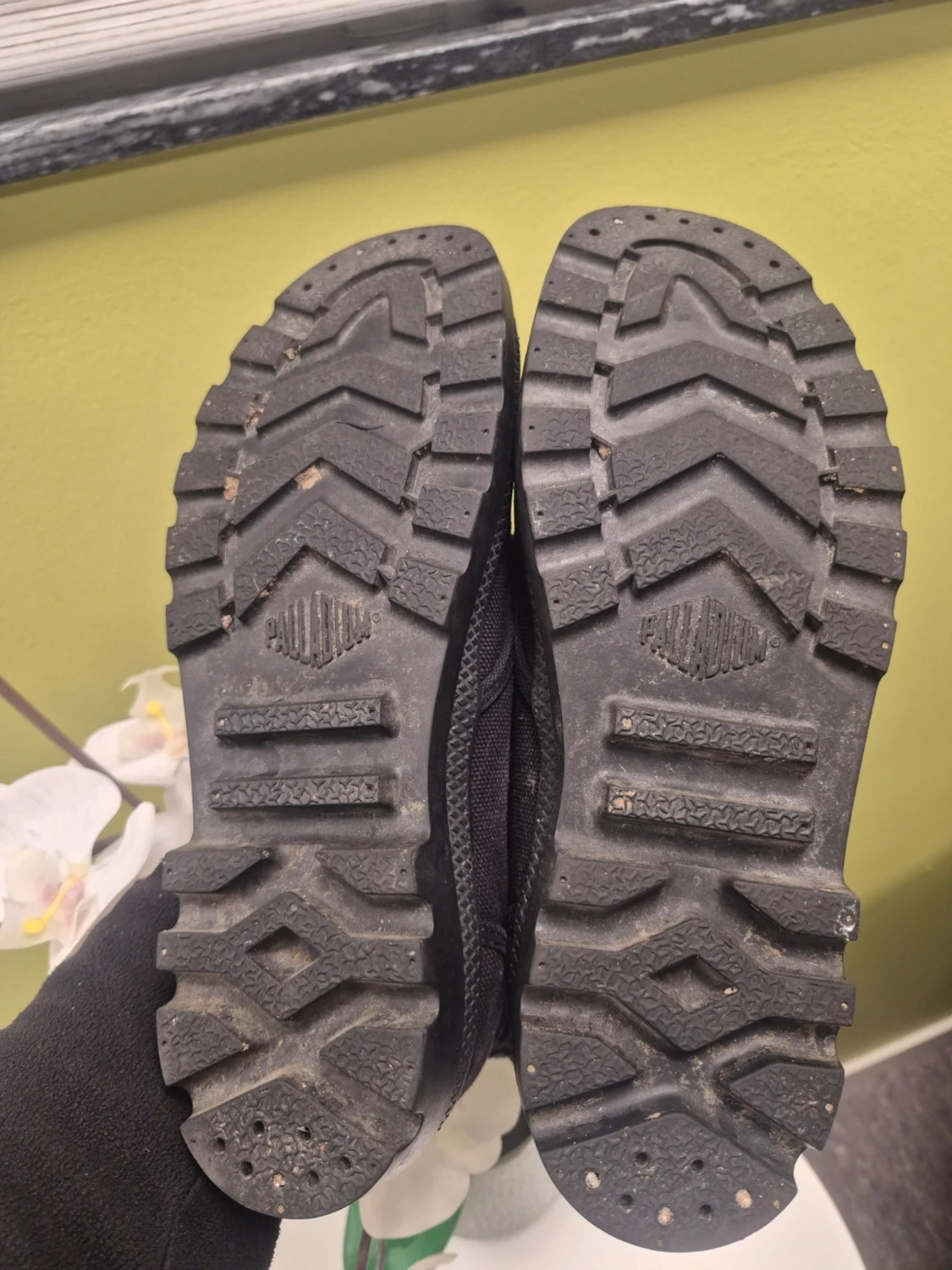 Palladium Pampa Hi Kängor Svarta EUR 43 passar 42 - 6