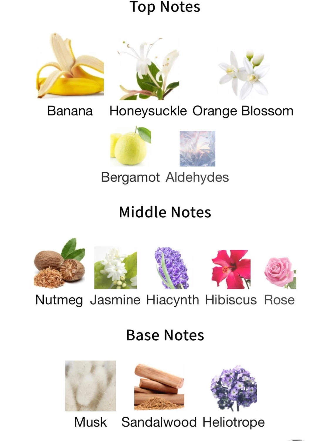 Dolce & Gabbana - Sicily  - 1