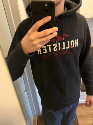 Svart Hollister M - Snygg svart hoodie från Hollister i riktigt fint skick. Hoodien är i strlk M men passar M-L! Kom PM för fler bilder eller andra funderingar!