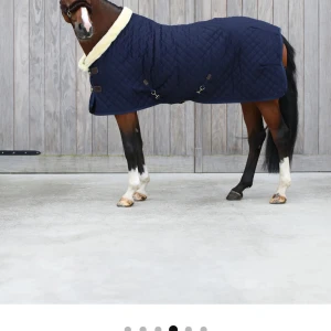 Mörkblå hästtäcke - Häst täckte  