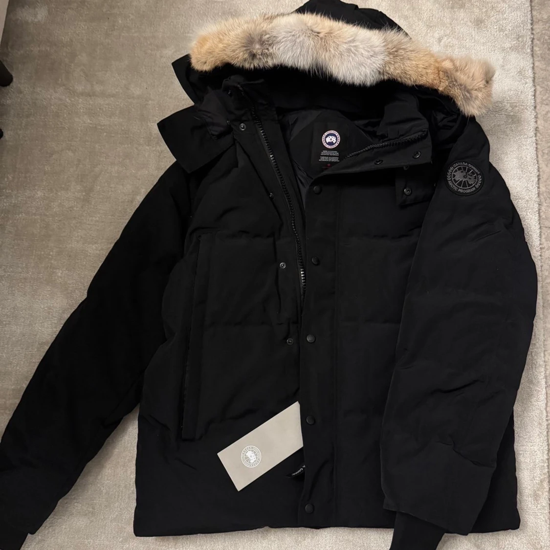  Canada Goose - 1
