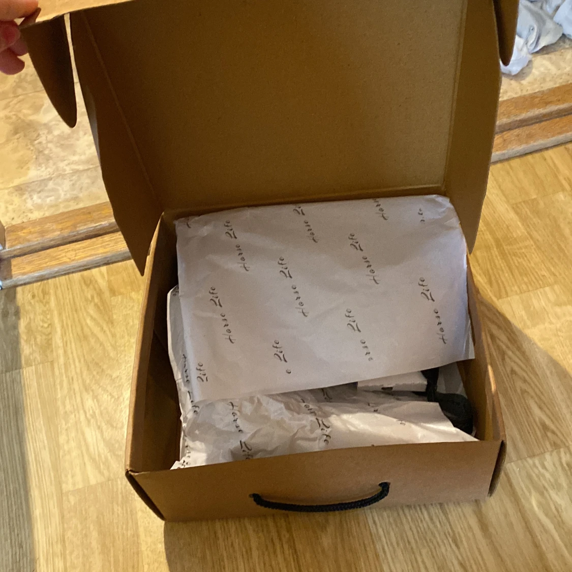 Horse Life Jodhpurs - 1