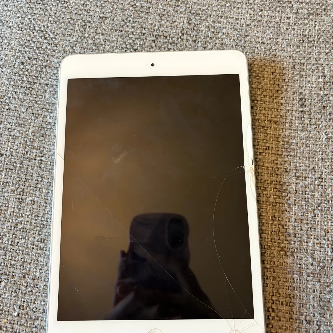 iPad mini 