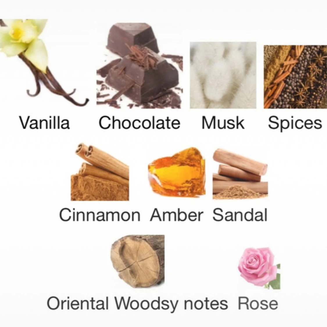 Choco Musk 5ml / 3ml - 2