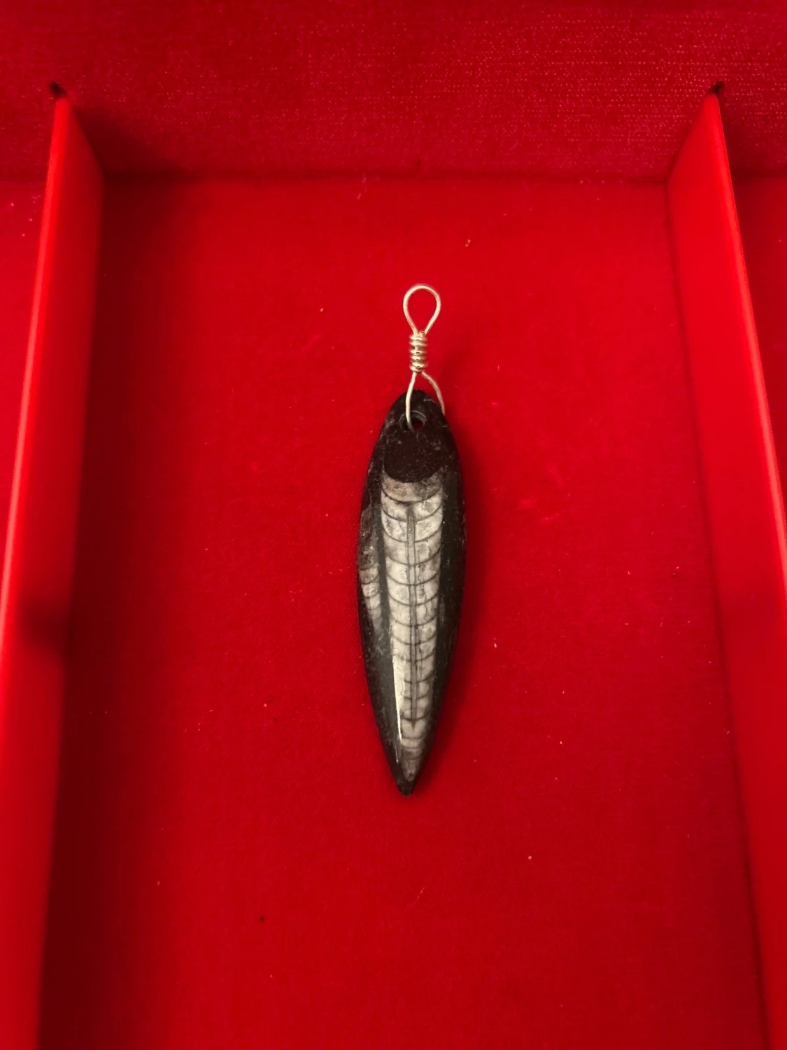 Halsband med fossilberlock och äkta silver hänge