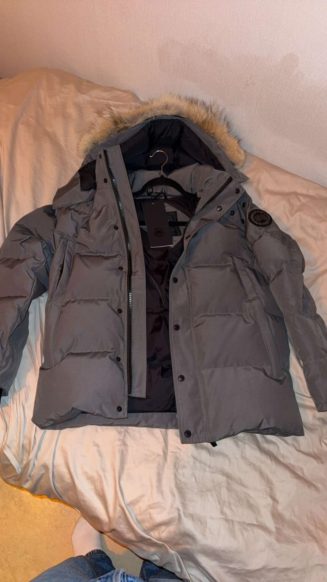 Grå canada goose black label