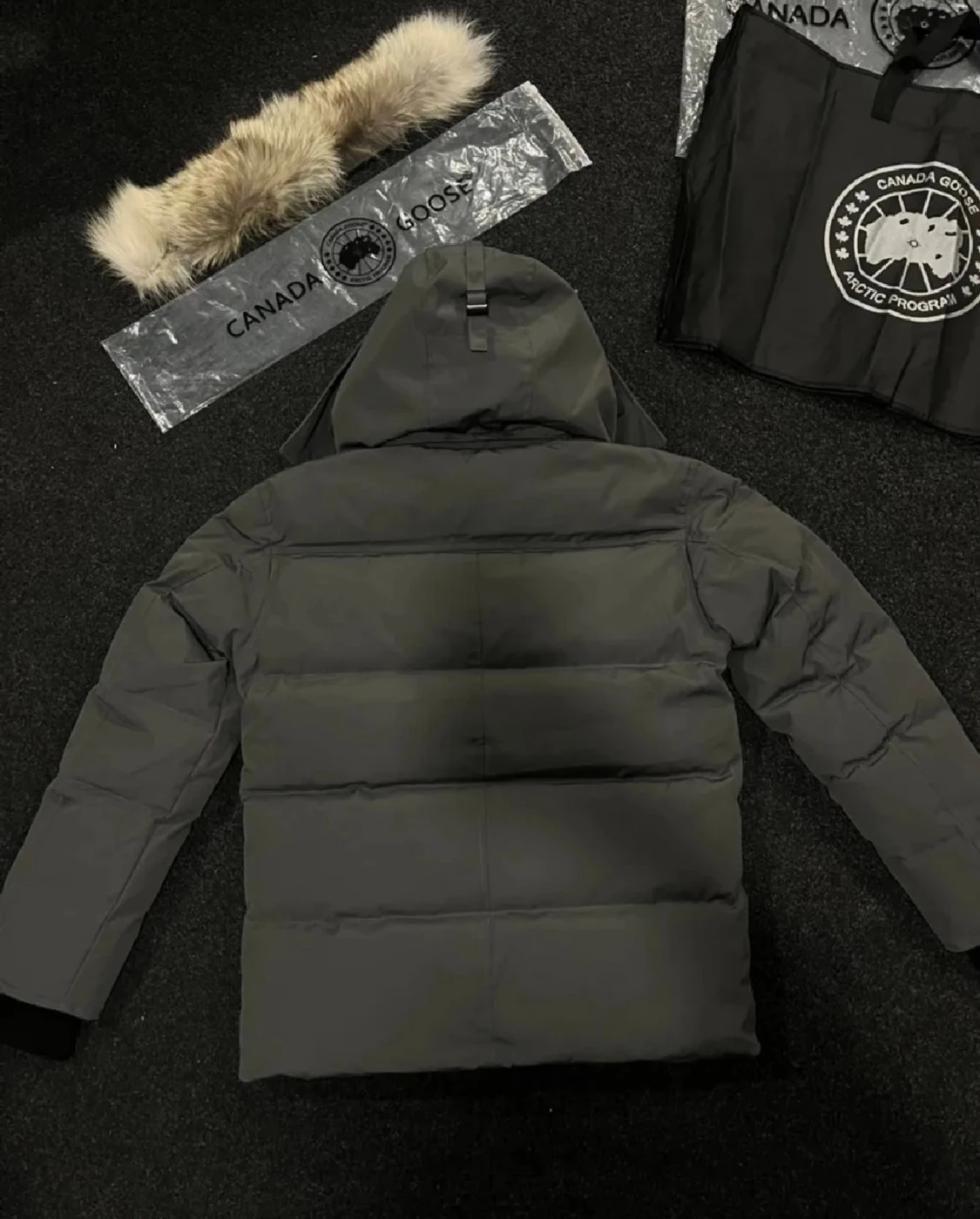 Grå dunjacka från Canada Goose - 1