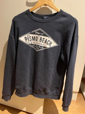 Sweatshirt från mv sports - Vintage hoodie från Mv sports storlek M okej skick, Postar samma dag!