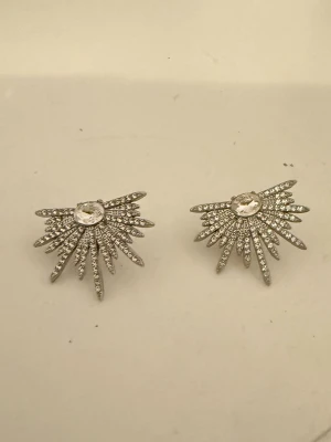 Örhängen  - Örhängen 