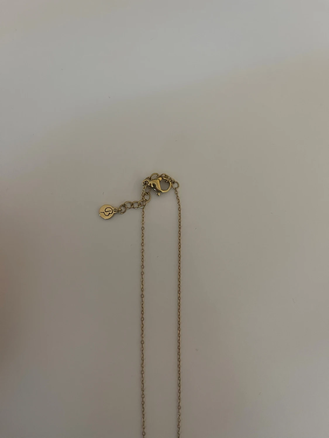 Guldigt halsband med cirkelberlock - 2