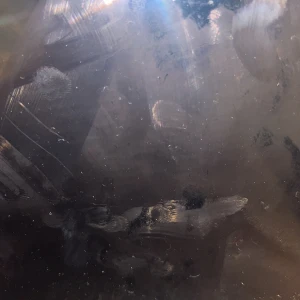 Okänd elektronikprodukt - Produkten på bilden är svår att identifiera på grund av suddighet och många fingeravtryck på ytan. Ingen märkning, modell eller specifika funktioner är synliga. Ytan visar tydligt slitage och behöver rengöras. Kontakta säljaren för mer information.