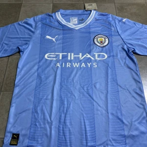 Manchester City blå fotbollströja Puma - Manchester Citys officiella matchtröja från Puma i ljusblått med subtila randiga detaljer på framsidan. Tröjan har korta ärmar, V-ringad krage med vita och blå ränder, Manchester Citys klubbmärke på bröstet och Etihad Airways tryck. Tillverkad i lätt polyester.