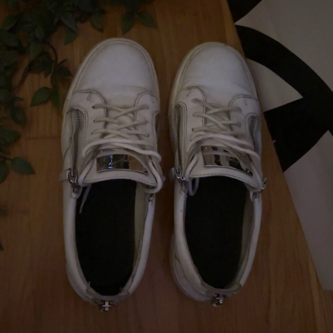 Giuseppe zanotti skor - 2