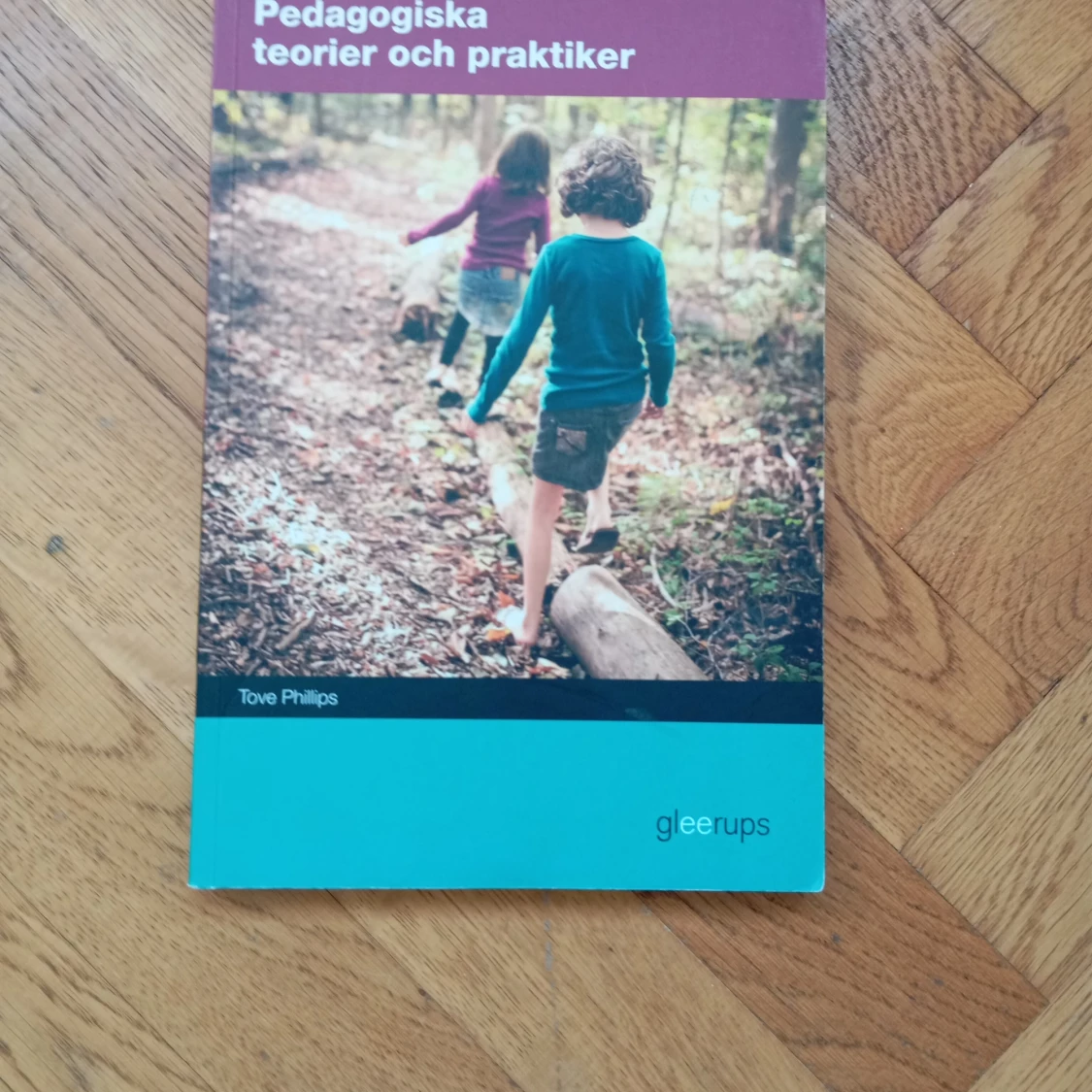 Pedagogiska teorier och praktiker