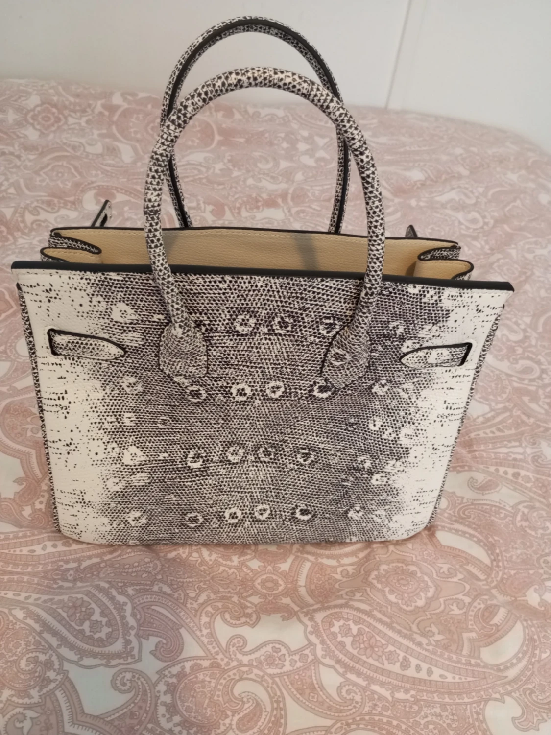 B30 exotic lizard  - 2