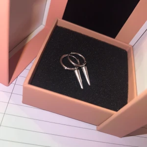 Spikörhängen - Säljer ett par spikörhängen ifrån Edblad.