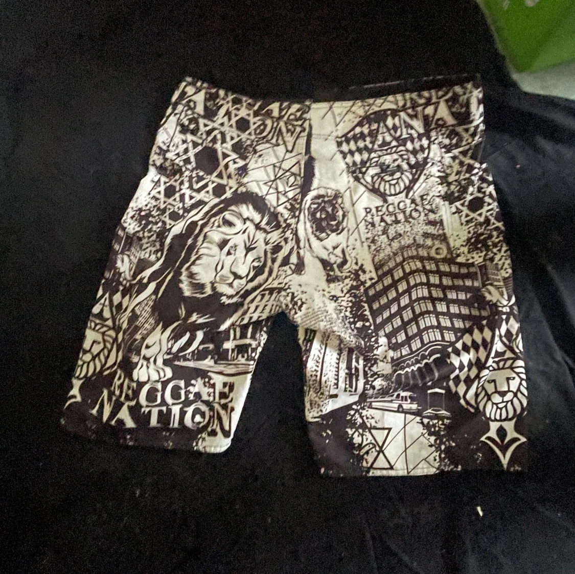Reggae Nation shorts med lejonmotiv - 1