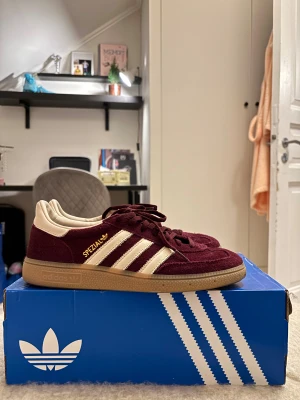 Vinröda Adidas spezial  - Använda ett fåtal gånger det är perfekta för våren, storleken är 41 och en tredjedel. Priset kan diskuteras vid snabb affär, vid fler frågor hör av dig❣️