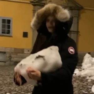 Wilma 16 år - Wilma är 16 år fyller snart 17 år, just nu är det 50% rea så hon kostar endast 25kr. Snäll ibland kan bli aggressiv mata henne då med en korv, ingår städning och en skönhet. Skriv vid intresse eller bud.❤️❤️