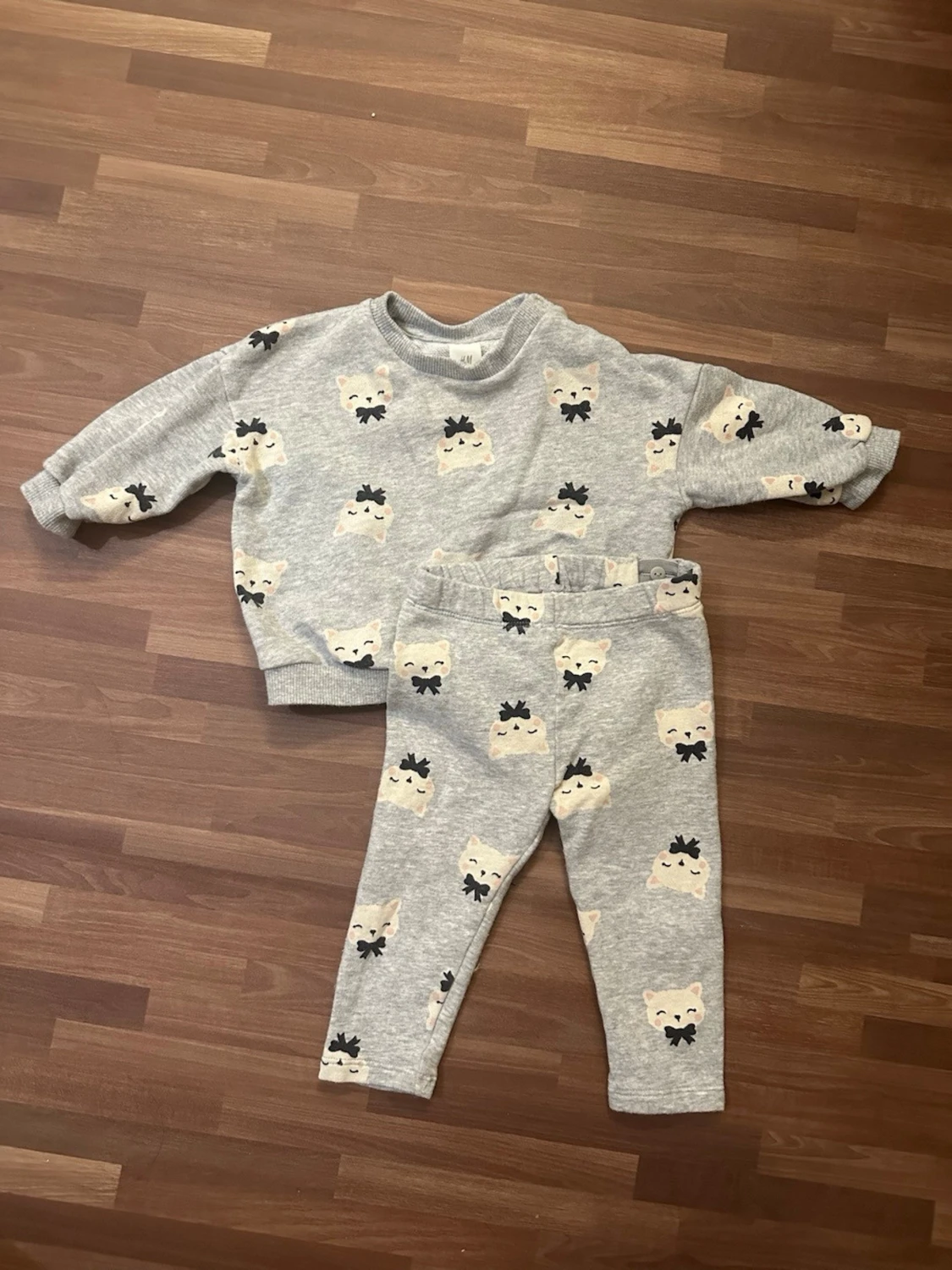 Grått set med katter