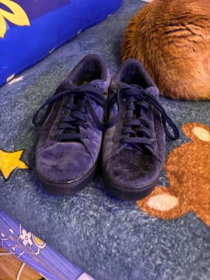 Mörkblå sneakers från Puma i mocka - Säljer ett par mörkblå Puma sneakers i mocka med klassisk snörning och gul broderad logga bak. Skorna har platt sula och rund tå, samt en stilren och enkel design som passar till det mesta. Storlek 38, riktigt snygga till jeans eller kjol.