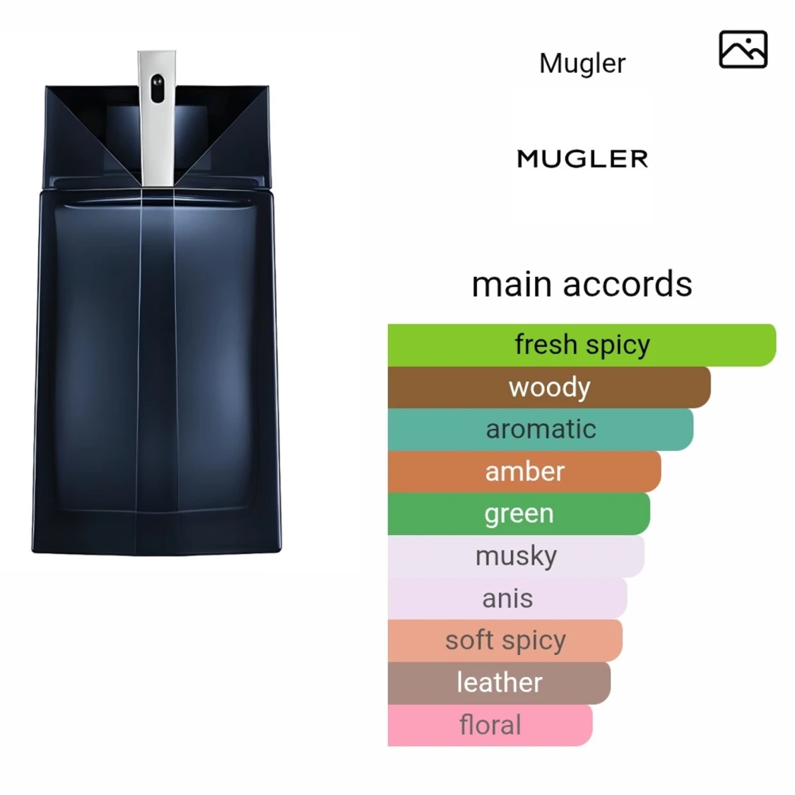 Alien Mugler Man Perfume - 4