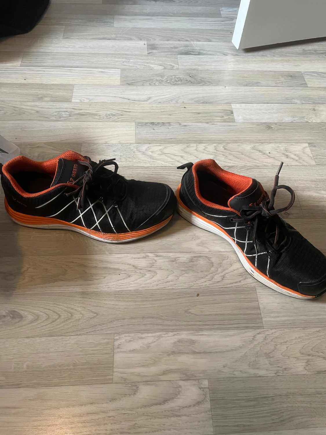 Gesto SKYDDSSKO  - 2