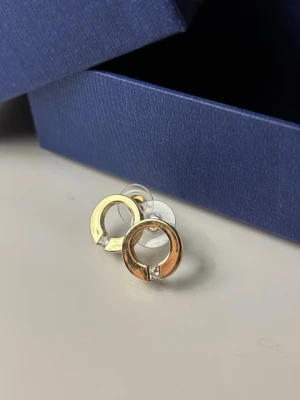 Runda guldörhängen med silver sten  - ⭐️