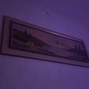 Vacker tavla - Bilderna visar en tavla med landskapsmotiv