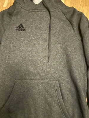 Adidas tröja  - En hoddie som är använd bar till träningar eller allmänt till vintern!