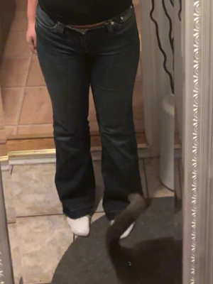 Mörkblå bootcut jeans med låg midja från Nelly  - Säljer ett par mörkblå bootcut jeans med låg midja och klassisk femficksdesign. Jeansen har en lätt utsvängd passform nertill och är perfekta för dig som gillar en tidlös och avslappnad stil. Materialet är denim med lite stretch för extra komfort. Från Nelly 