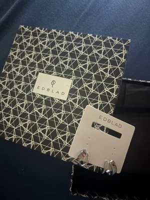 Edblad Plié Hoops Double Steel örhängen - Säljer ett par snygga Plié Hoops Double Steel örhängen från Edblad. De är i blankt rostfritt stål och har en modern, dubbelsidig design som ger en cool och stilren look. Perfekta för dig som gillar minimalistiska smycken med en twist.