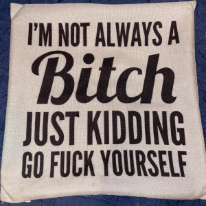 Kuddfodral - Kuddfodral till framför allt prydnadskudde, slitet på insidan med trådar osv men ingenting som syns på utsidan förutom nere vid dragkedjan som är lite svår att stänga sista centimetern. 42,5 x 42,5 cm 