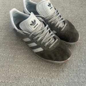 Adidas gazelle - Rätt så använda skor. Storlek 42 men passar 43