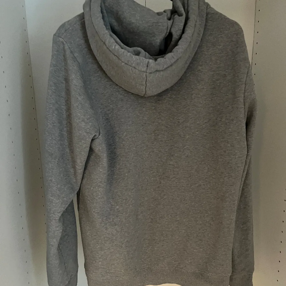 Grå dickies hoodie väldigt fin i skick, 9/10.. Hupparit & Collegepaidat.