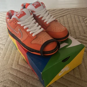Nike sb orange lobster  - Feta Nike sbs, över cool sko och bra kvalite. Har aldrig används.
