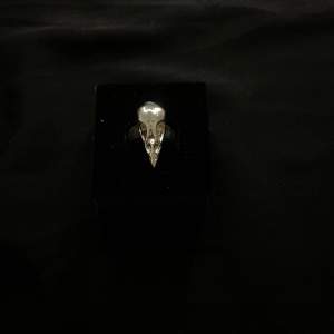Justerbar ”goth ring” i silver⚡️