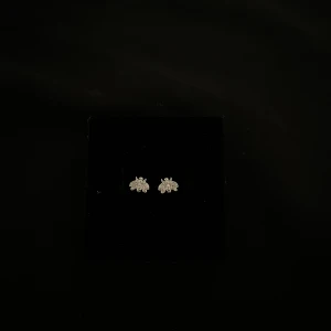 Skalbaggeörhänge - ”Skalbaggeörhängen” i silver💋