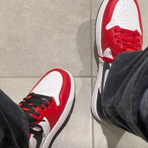 Air Jordan 1 retro high satin snake chicago  - Använda 2 gånger. Köpta på StockX för 2050. Pm för fler bilder! Jag har storlek 39 och de passar bra. 