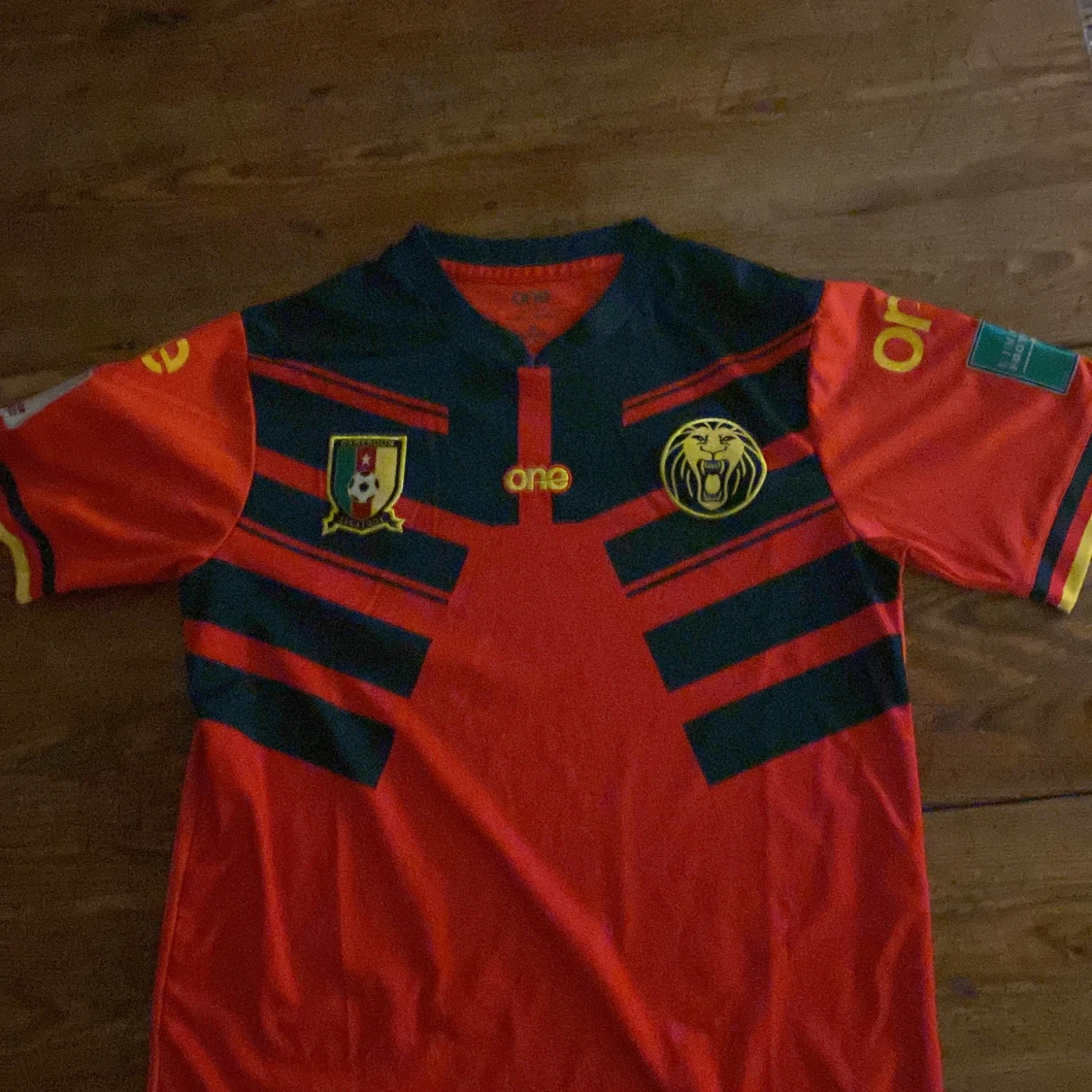 Kamerun tröja wc 2022