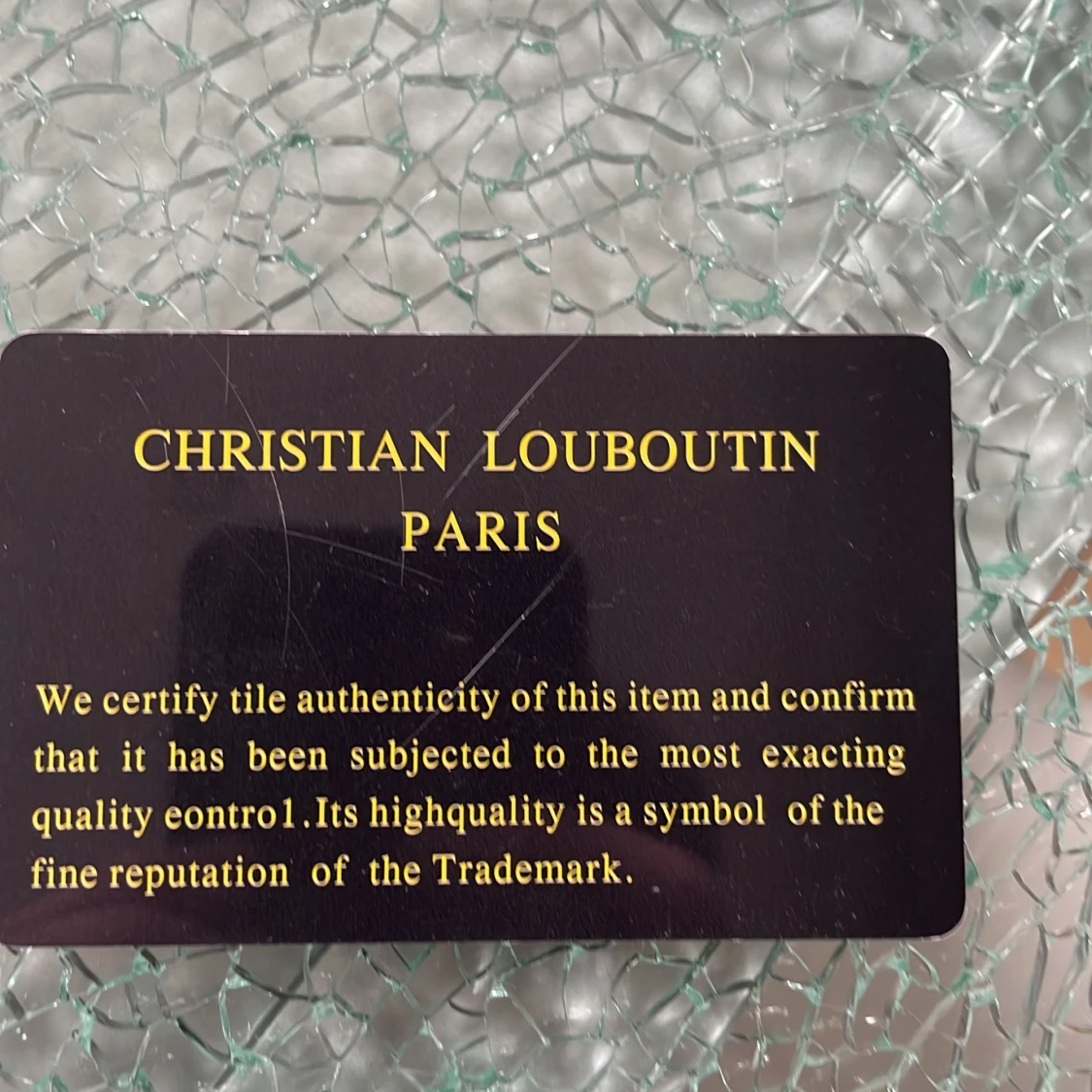 Christian Louboutin skor - 93