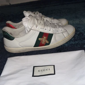 Gucci Ace - Säljer Gucci ace i storlek 43 7/10 skick några sprickor på sidan och en litte creas men annars bra mitt pris 1599kr nypris 8500kr frakt 🚚 1-3 arbetsdagar 🚚 vid en snabb affär så kan Priset diskuteras