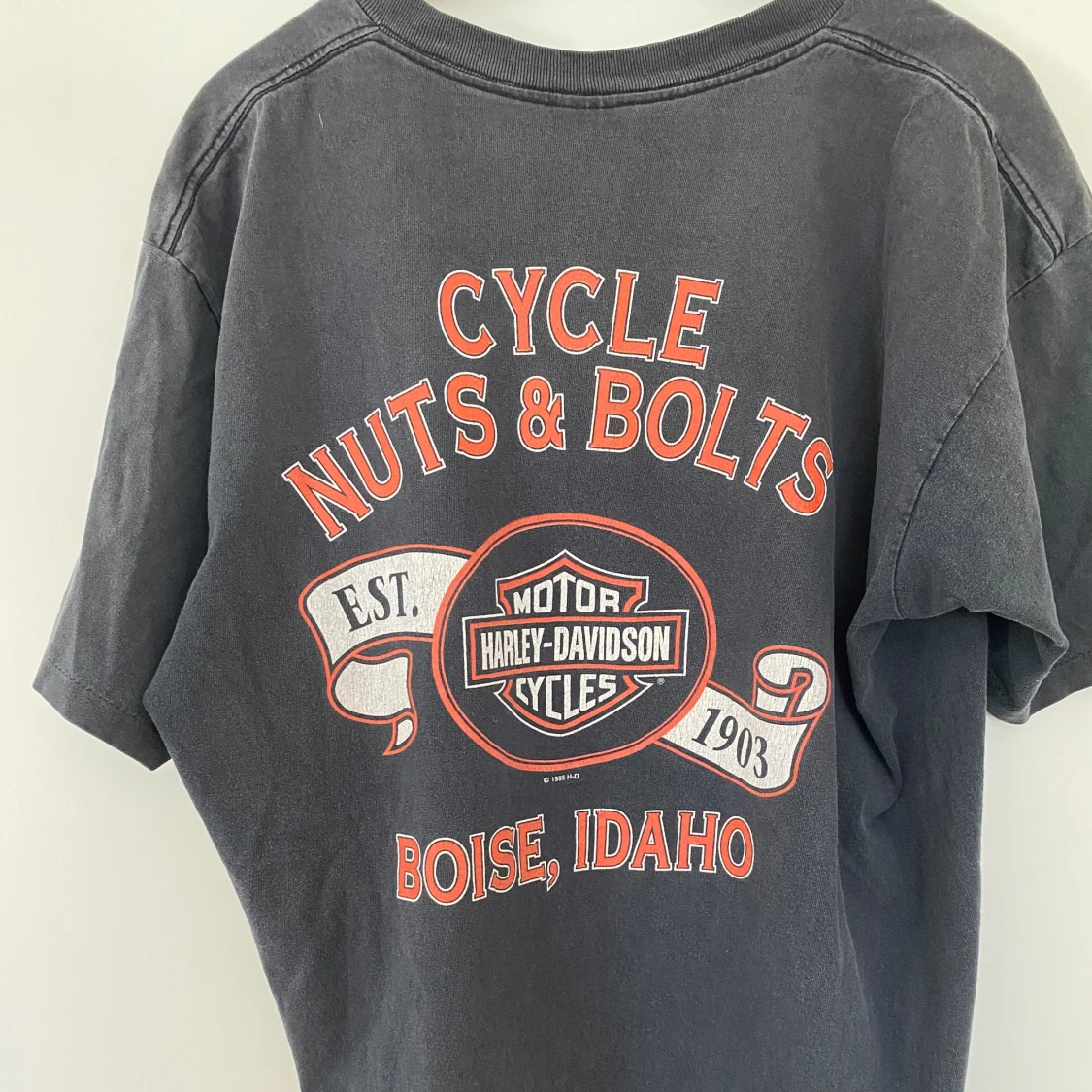 HOLOUBEK HARLEY 95/96 - 91