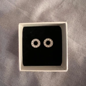 Oanvända örhängen  - Oanvända örhängen från Edblad! Säljer då dom inte kommit till användning 🥰